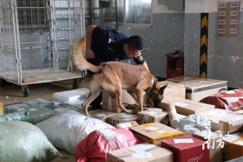 工作中的陈岐。 工作中的陈岐。